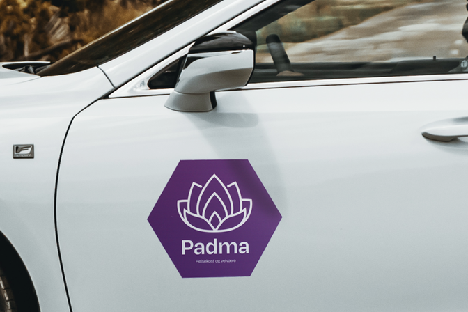 Magnete für das Auto