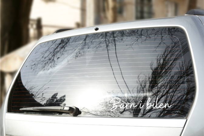 Baby on Board-Schild