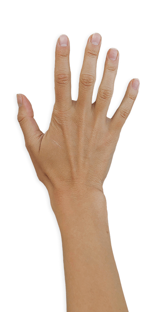 Dubbelzijdige Borden, Afgeronde Hoeken Wit Karton Met Een Kern Van Houtvezels. Bevestiging: Plafondbevestiging Met Staalkabels